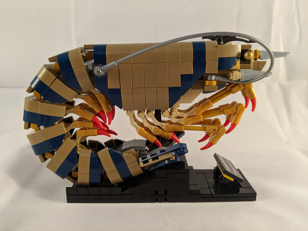 A Giant Tiger Prawn Made Out Of Lego